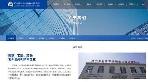 辽宁博仕科技因围标串标遭三年禁入 被列入不良行为记录名单