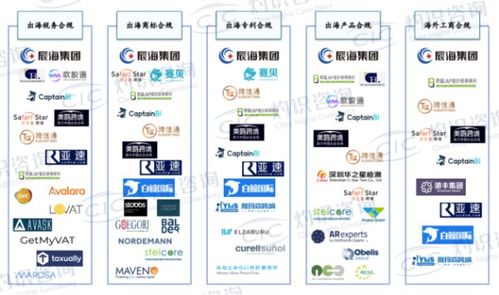cic灼识咨询发布跨境行业 蓝皮书 辰海集团出海合规领域市场占有率遥遥领先